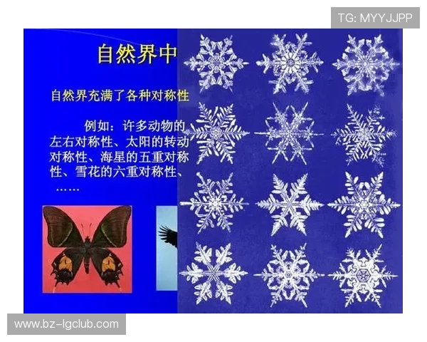 探索足球中的数学奥秘揭示进球轨迹与比赛策略背后的科学规律