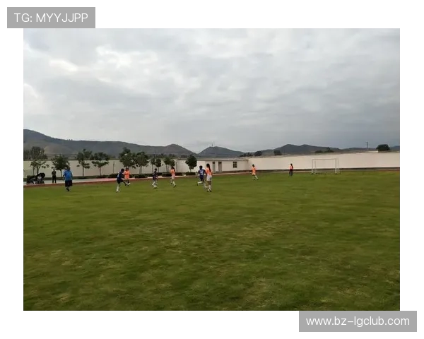 聚焦赣C苏C足球赛全程精彩对决与战术亮点深度解析全面呈现全貌